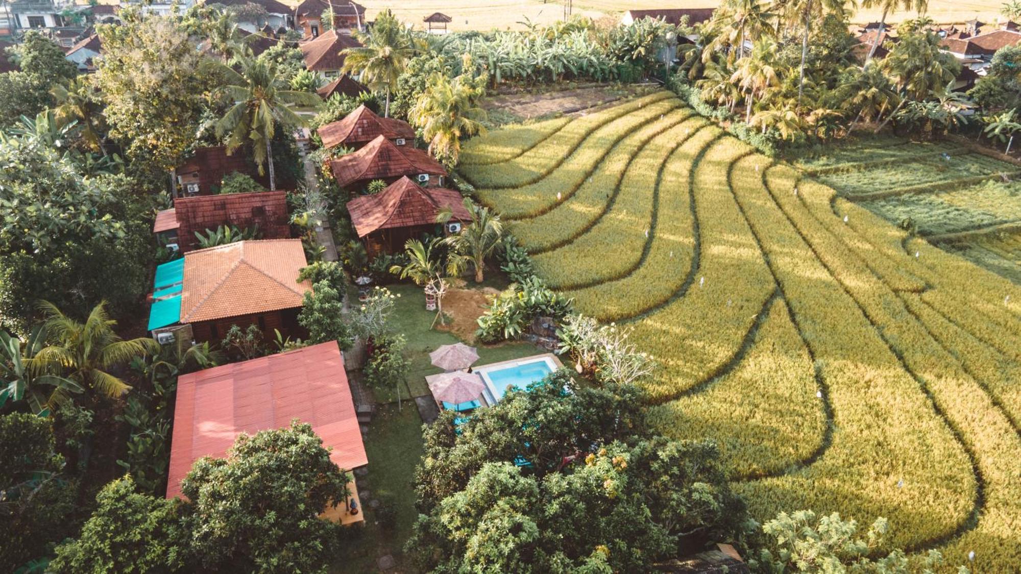 The Dukuh Retreat Apartment Tabanan  Ngoại thất bức ảnh
